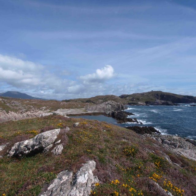 Greenane, Bere Island